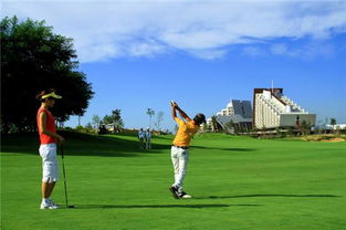 高尔夫球休闲文化，高尔夫球：一种优雅的休闲文化