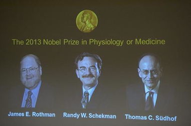 年诺贝尔奖揭晓：科技与医学的突破，引领人类进步的新篇章